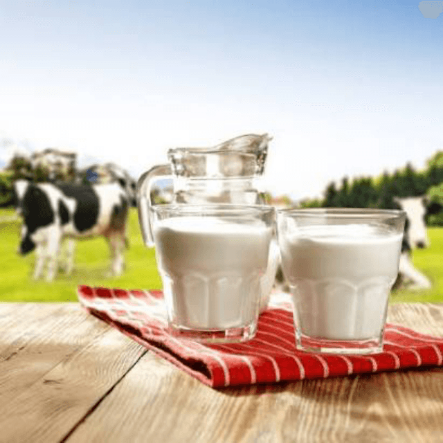 Milk 1 Litter