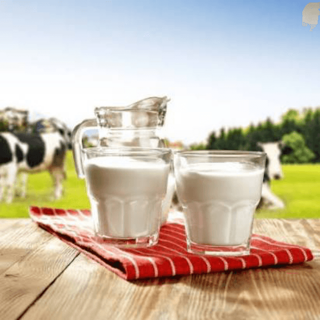 Milk 1 Litter